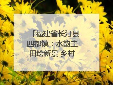 福建省长汀县四都镇：水韵圭田绘新景 乡村振兴谱华章