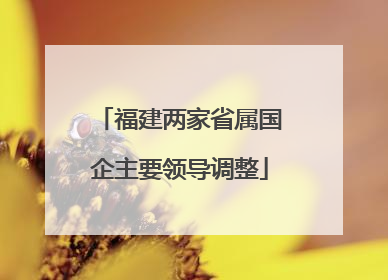福建两家省属国企主要领导调整
