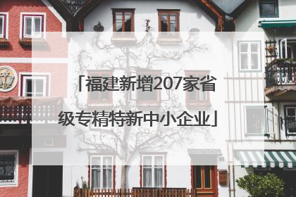 福建新增207家省级专精特新中小企业