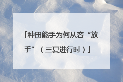 种田能手为何从容“放手”（三夏进行时）