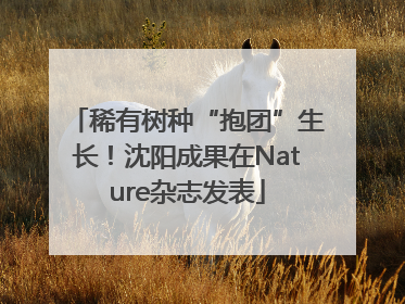 稀有树种“抱团”生长！沈阳成果在Nature杂志发表