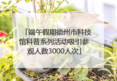 端午假期德州市科技馆科普系列活动吸引参观人数3000人次