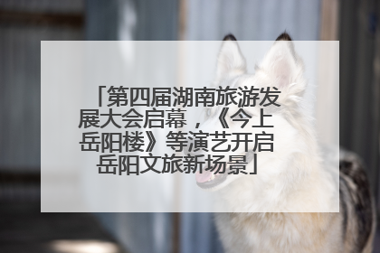 第四届湖南旅游发展大会启幕，《今上岳阳楼》等演艺开启岳阳文旅新场景