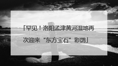 罕见！洛阳孟津黄河湿地再次迎来“东方宝石”彩鹮