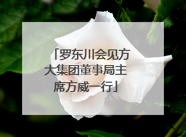 罗东川会见方大集团董事局主席方威一行