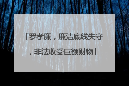 罗孝廉，廉洁底线失守，非法收受巨额财物