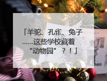 羊驼、孔雀、兔子……这些学校藏着 “动物园”？！