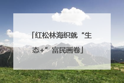 红松林海织就“生态+”富民画卷