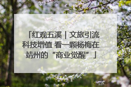 红观五溪｜文旅引流 科技增值 看一颗杨梅在靖州的“商业觉醒”