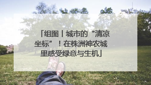 组图丨城市的“清凉坐标”！在株洲神农城里感受绿意与生机