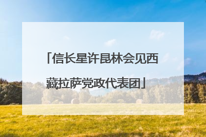 信长星许昆林会见西藏拉萨党政代表团