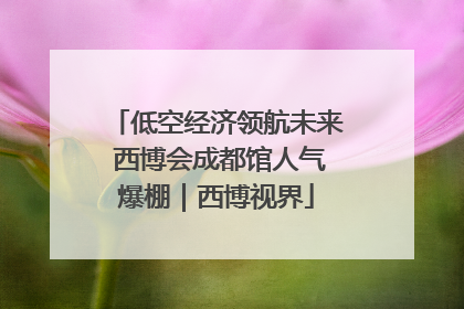 低空经济领航未来 西博会成都馆人气爆棚｜西博视界