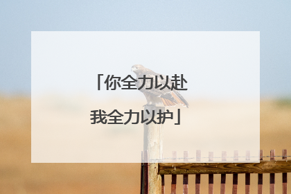 你全力以赴 我全力以护