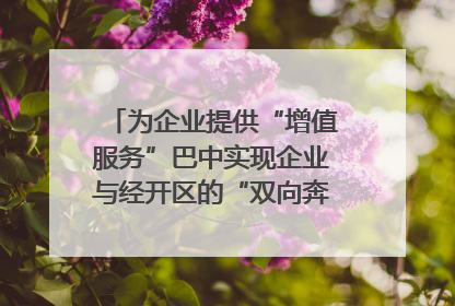 为企业提供“增值服务”巴中实现企业与经开区的“双向奔赴”｜川陕渝网络名人巴中行