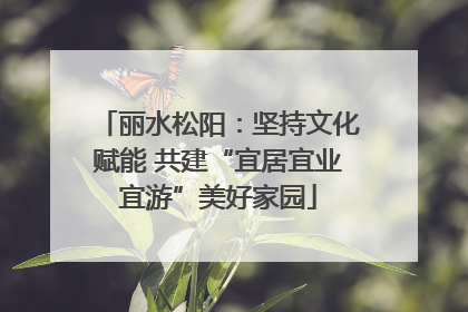 丽水松阳：坚持文化赋能 共建“宜居宜业宜游”美好家园