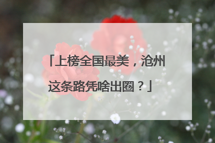 上榜全国最美，沧州这条路凭啥出圈？