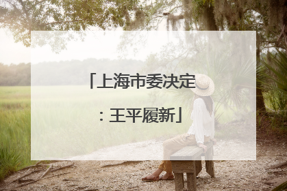 上海市委决定：王平履新