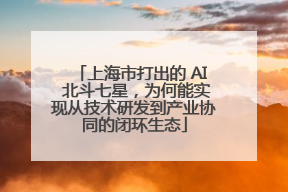 上海市打出的 AI 北斗七星，为何能实现从技术研发到产业协同的闭环生态
