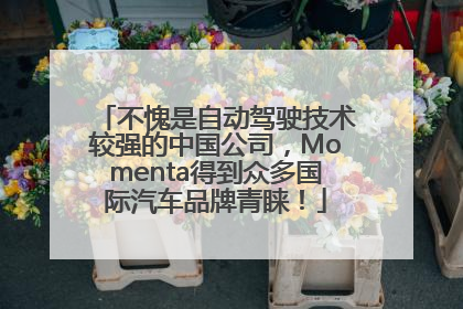 不愧是自动驾驶技术较强的中国公司，Momenta得到众多国际汽车品牌青睐！