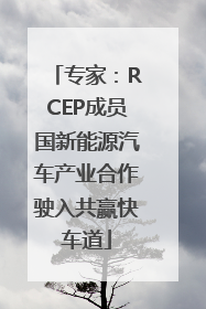 专家：RCEP成员国新能源汽车产业合作驶入共赢快车道