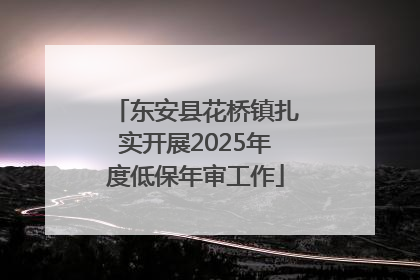 东安县花桥镇扎实开展2025年度低保年审工作