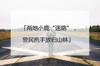 两地小鹿“迷路”，警民携手放归山林