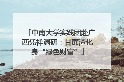 中南大学实践团赴广西凭祥调研：甘蔗渣化身“绿色财富”