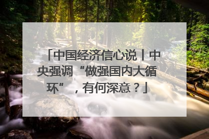 中国经济信心说丨中央强调“做强国内大循环”，有何深意？