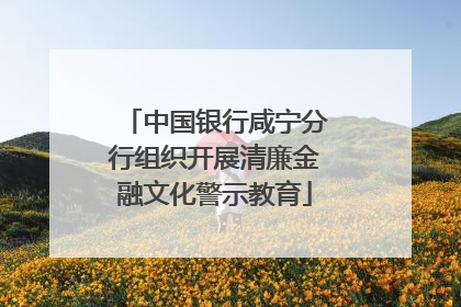 中国银行咸宁分行组织开展清廉金融文化警示教育