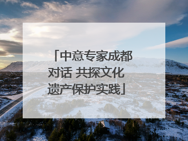 中意专家成都对话 共探文化遗产保护实践