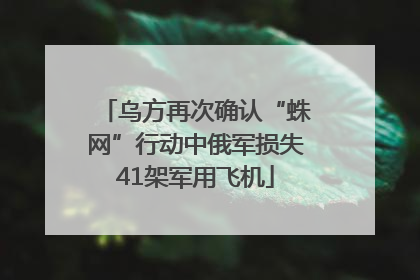 乌方再次确认“蛛网”行动中俄军损失41架军用飞机