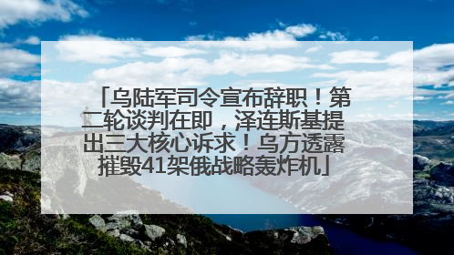 乌陆军司令宣布辞职！第二轮谈判在即，泽连斯基提出三大核心诉求！乌方透露摧毁41架俄战略轰炸机