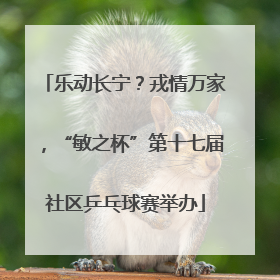 乐动长宁？戎情万家，“敏之杯”第十七届社区乒乓球赛举办