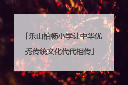 乐山柏杨小学让中华优秀传统文化代代相传
