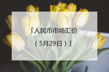 人民币市场汇价（5月29日）