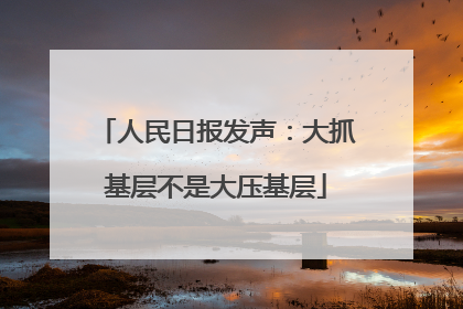 人民日报发声：大抓基层不是大压基层