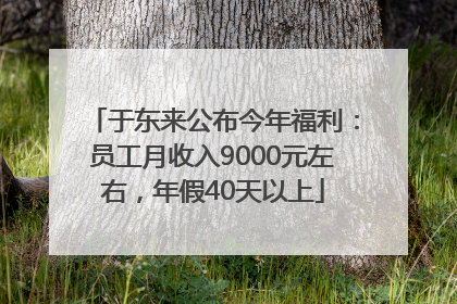 于东来公布今年福利：员工月收入9000元左右，年假40天以上