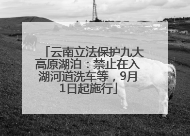 云南立法保护九大高原湖泊：禁止在入湖河道洗车等，9月1日起施行