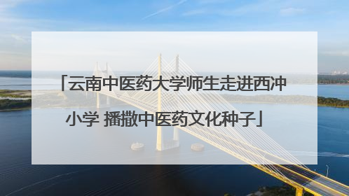 云南中医药大学师生走进西冲小学 播撒中医药文化种子