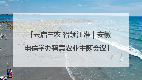 云启三农 智领江淮｜安徽电信举办智慧农业主题会议
