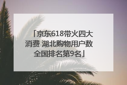 京东618带火四大消费 湖北购物用户数全国排名第9名