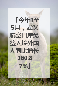 今年1至5月，武汉航空口岸免签入境外国人同比增长160.87%