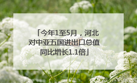 今年1至5月，河北对中亚五国进出口总值同比增长1.1倍