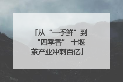从“一季鲜”到“四季香” 十堰茶产业冲刺百亿