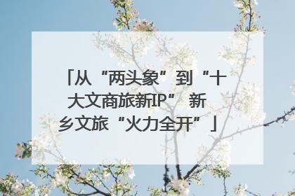 从“两头象”到“十大文商旅新IP” 新乡文旅“火力全开”
