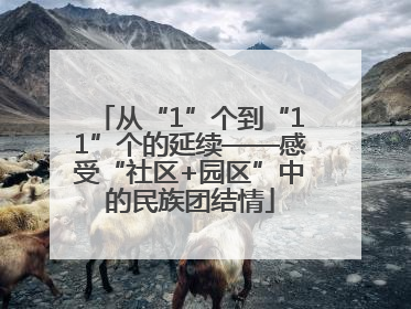 从“1”个到“11”个的延续——感受“社区+园区”中的民族团结情