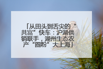 从田头到舌尖的“共富”快车：沪湖供销联手，湖州生态农产“圈粉”大上海