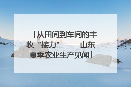从田间到车间的丰收“接力”——山东夏季农业生产见闻