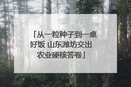 从一粒种子到一桌好饭 山东潍坊交出农业硬核答卷