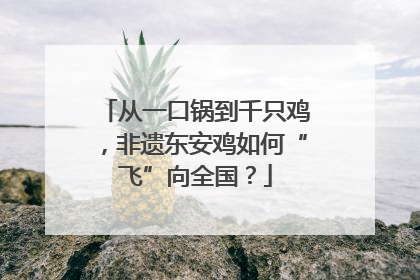 从一口锅到千只鸡，非遗东安鸡如何“飞”向全国？